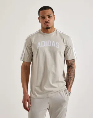 Adidas Collegiate Tee Lingerie and intimates Fashion sizes