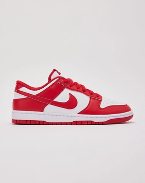 Clothing types Nike  Dunk Low Runway fashion