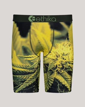 Ethika Green Haze Boxer Briefs Fashion sizes Fashion lookbook