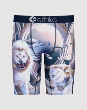 Ethika Heavenly Beasts Boxer Briefs Workwear options Printed fashion