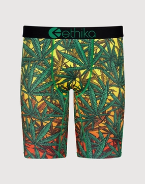 Fashion catalog Ethika Sunset Blaze Boxer Briefs Fashion trends