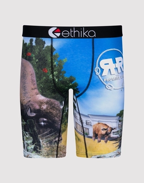 Patterned fashion (floral, stripes, etc.) Ethika Bustin Buffalo Boxer Briefs Business casual wear