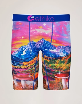 Street fashion Ethika Magic Mushiez Boxer Briefs Nautical - themed fashion