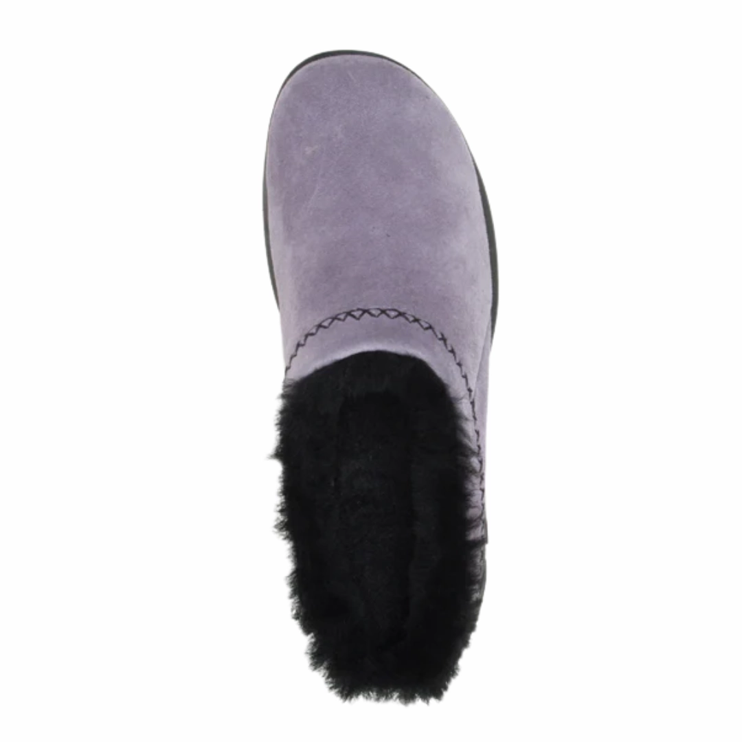 Women's Encore Ice 4 - Shark (Regular Width)