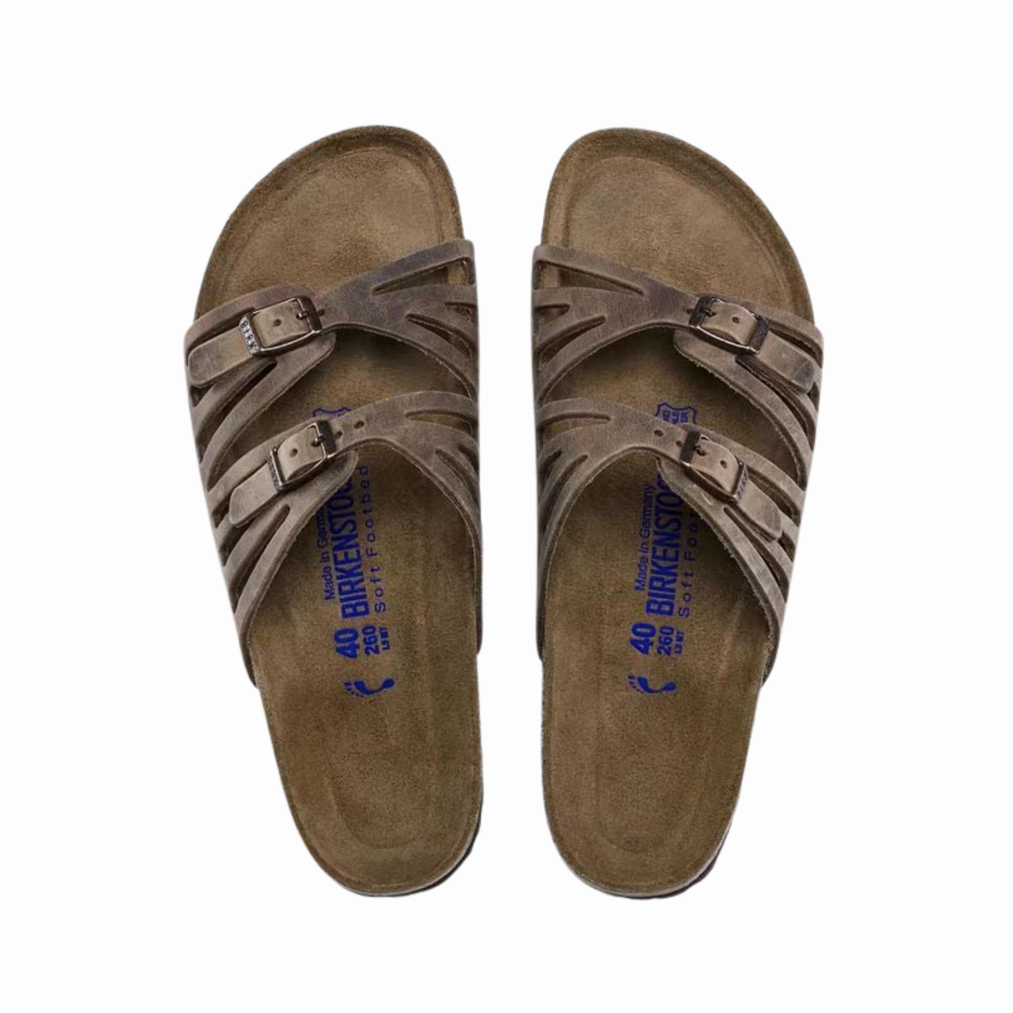 Women's Granada Soft Footbed (Oiled Leather) - Tobacco Brown